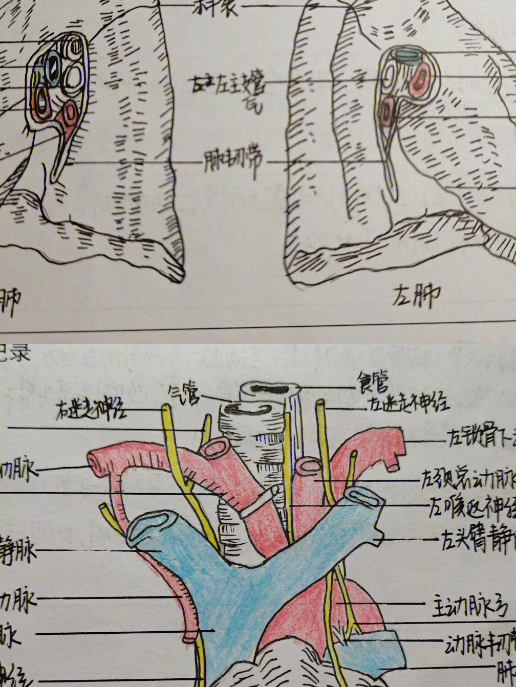 魁拔画画教程图片