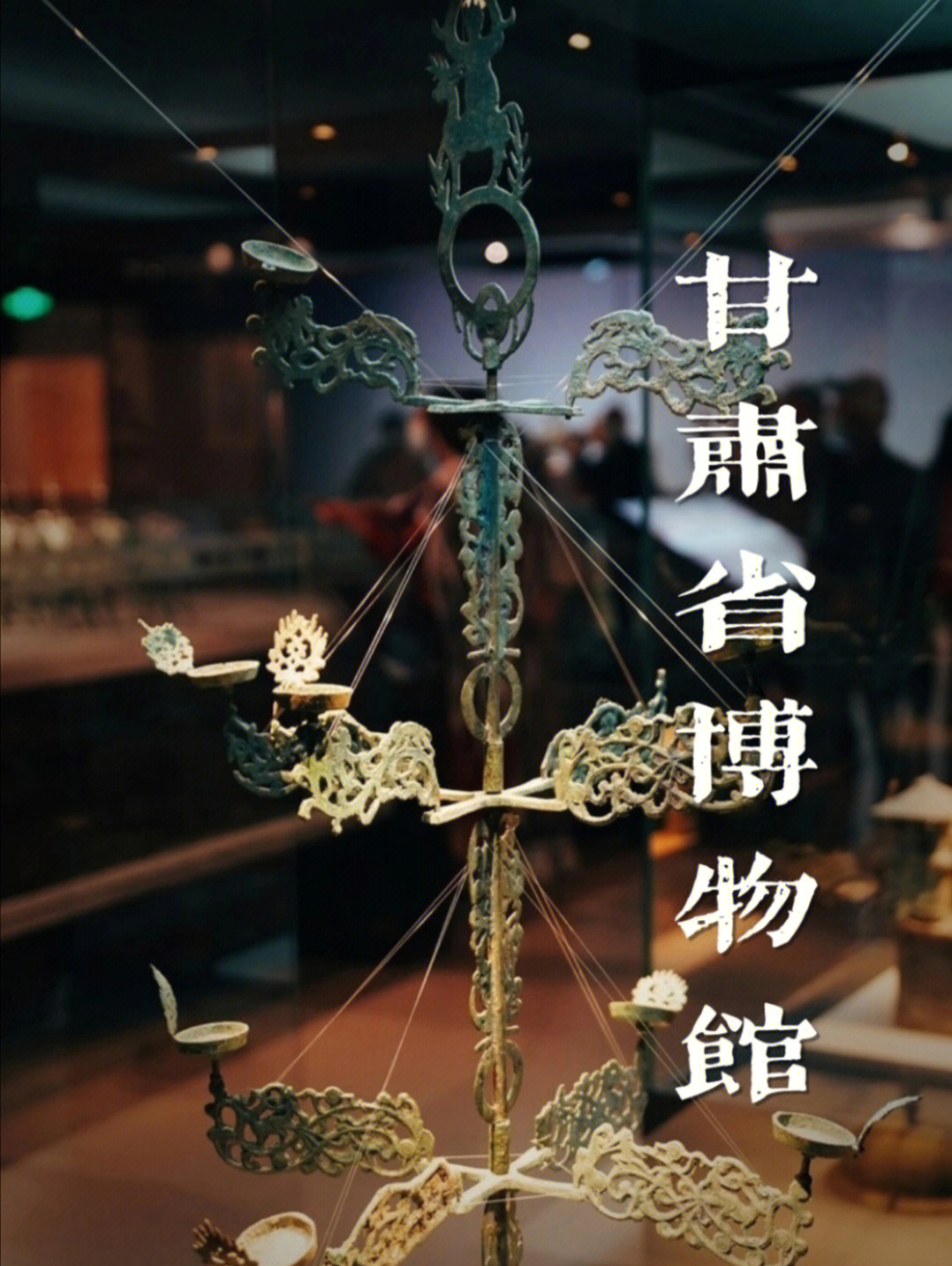 甘肃是丝绸之路的必经之地,甘肃省博物馆馆藏文物35万件,从白垩纪的古