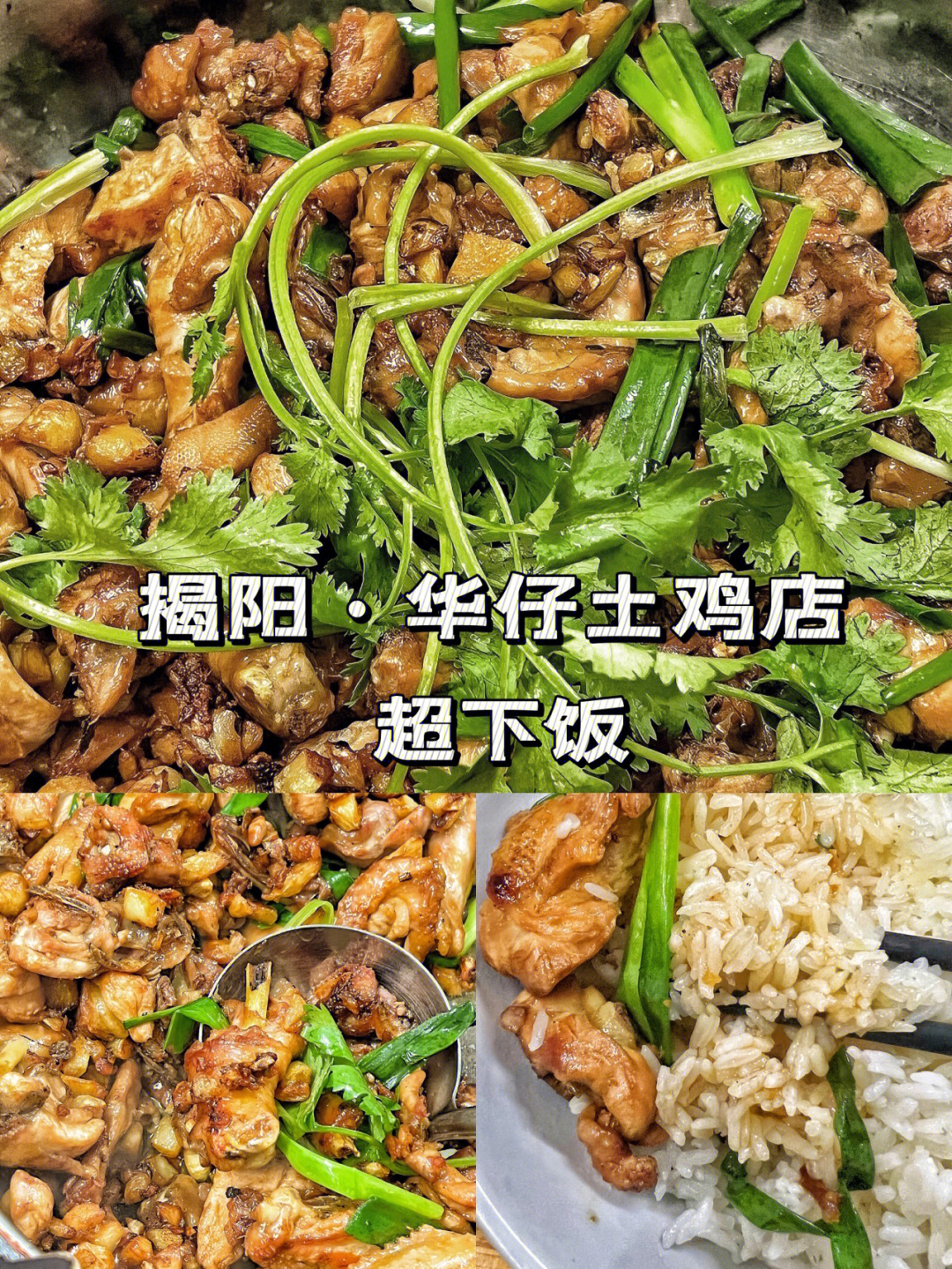 揭阳探店 阳美华仔土鸡店 揭阳鸡煲