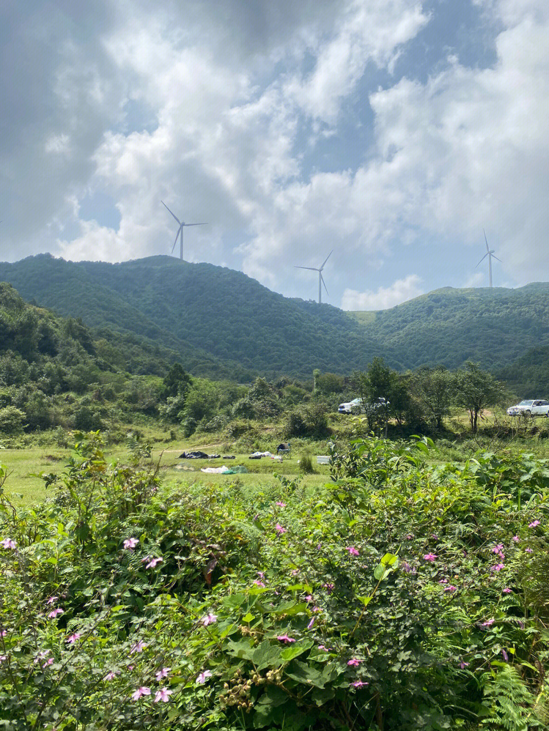 大容山景点介绍图片