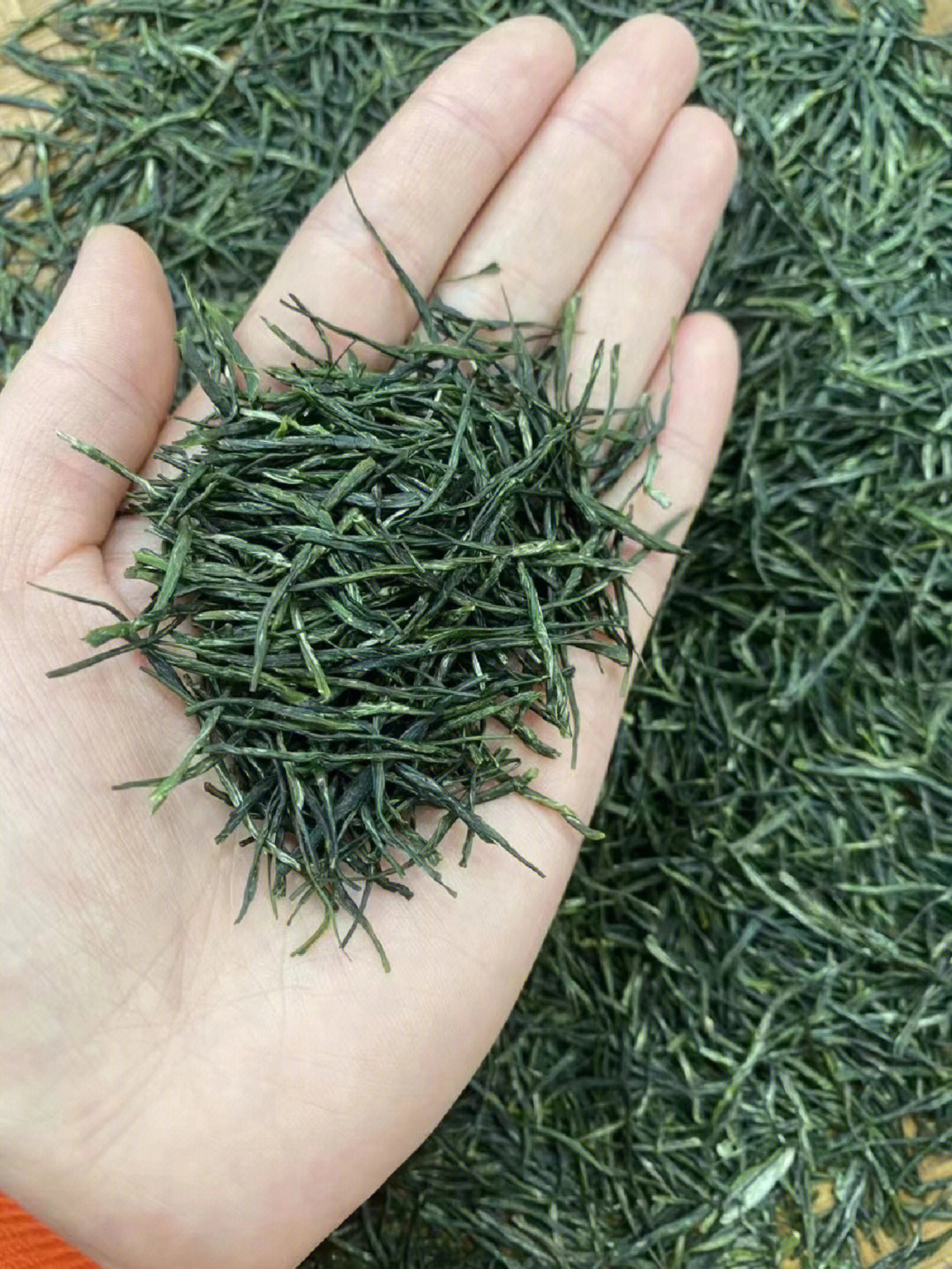 信阳毛尖新茶信阳新茶叶嫩芽雨前高山云雾茶