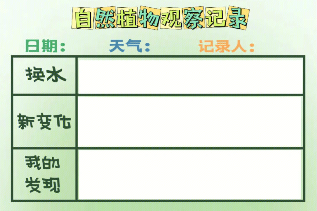 科学发现室观察记录表图片