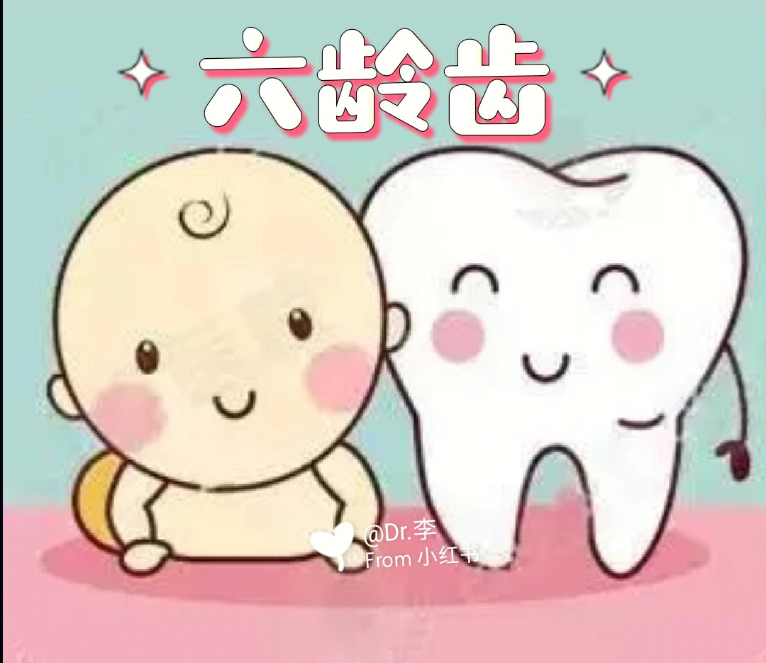 儿童第三磨牙图片