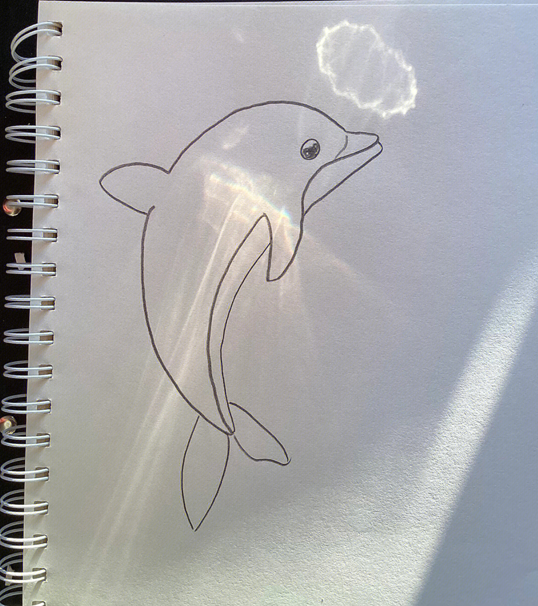 海豚尾巴简笔画图片