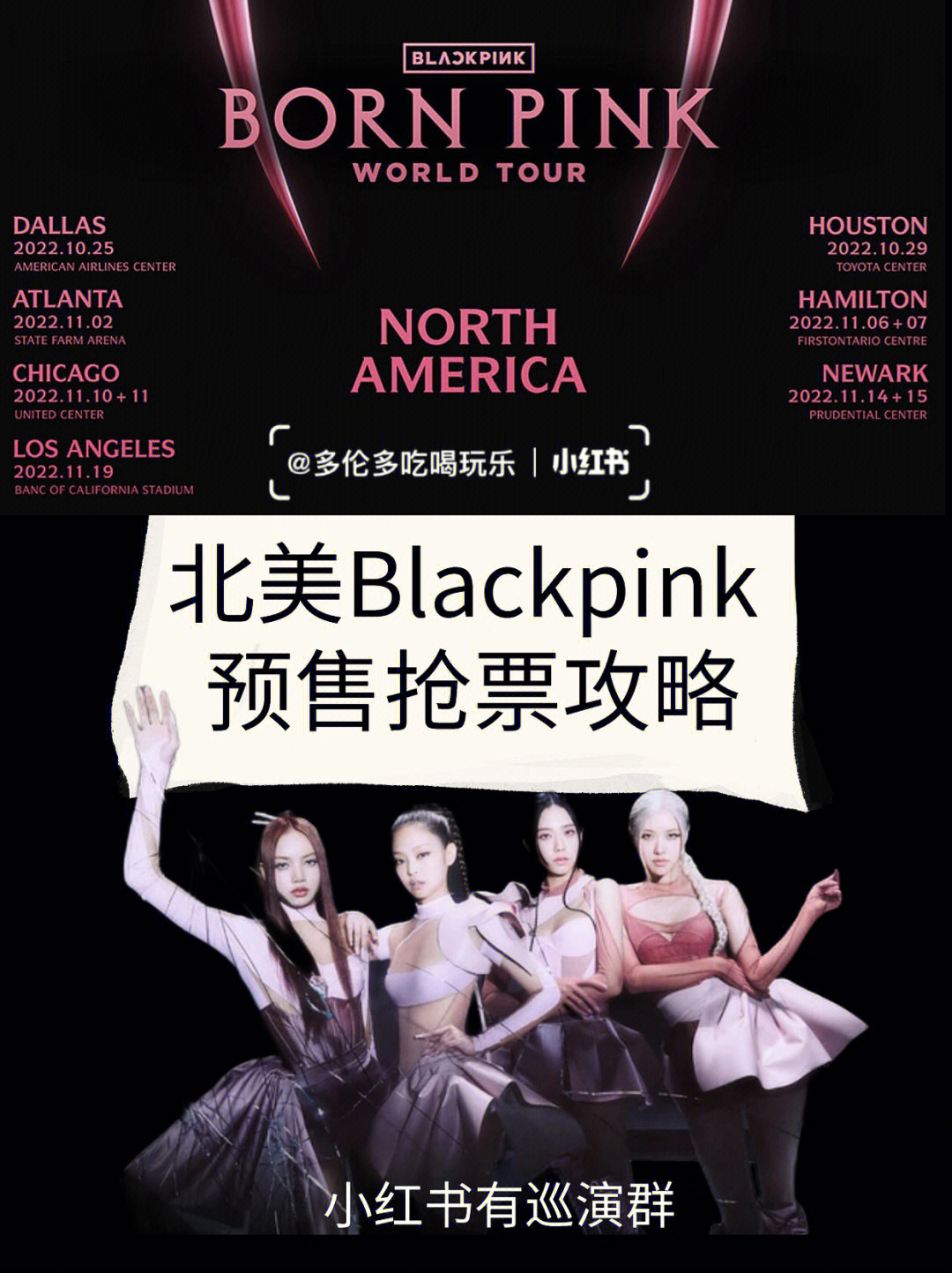 blackpink演唱会应援海图片