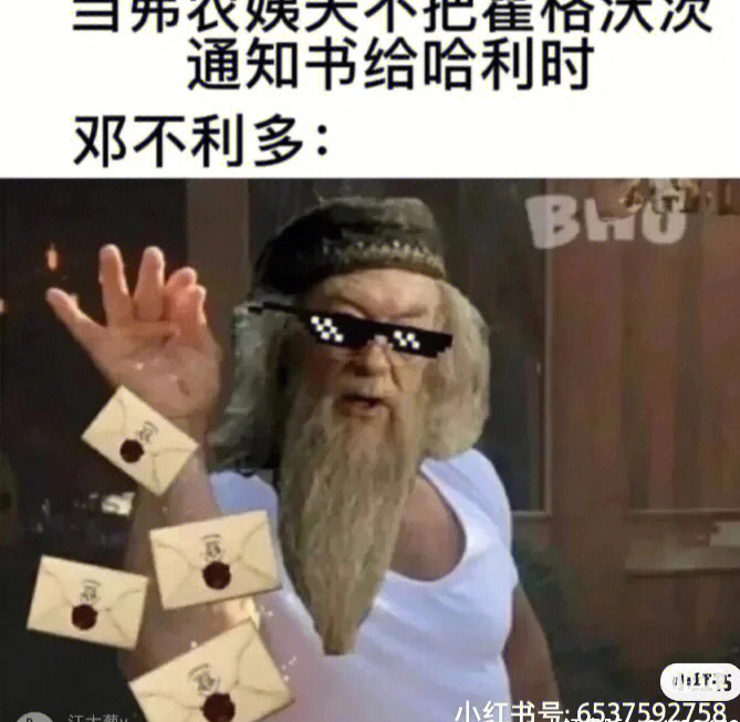 哈利波特沙雕二人头像图片