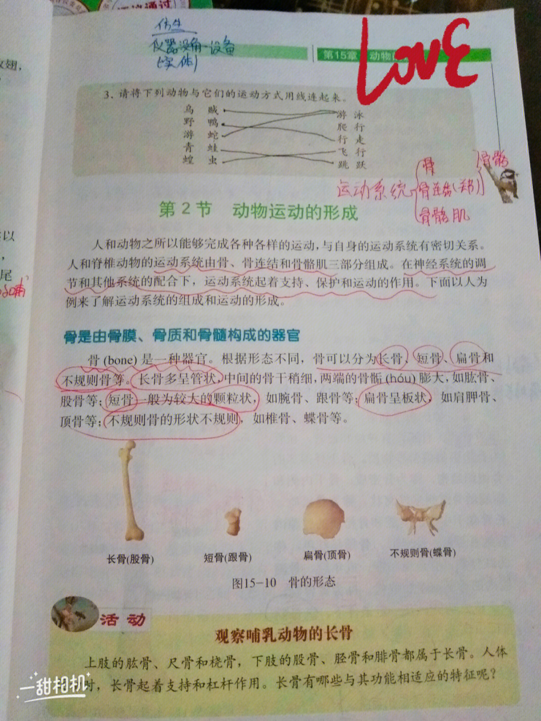 八年级上册生物北师大版二