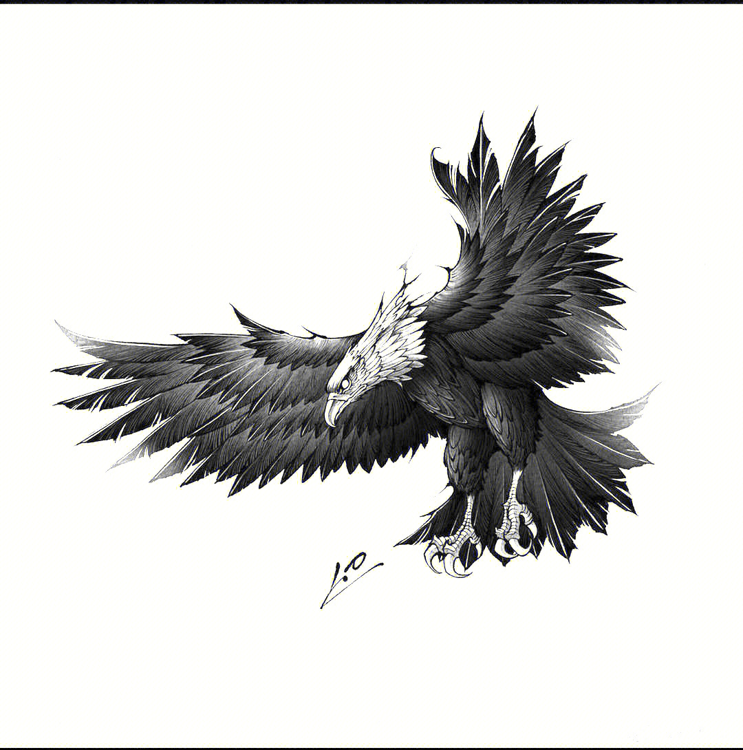 暗黑纹身手稿鹰