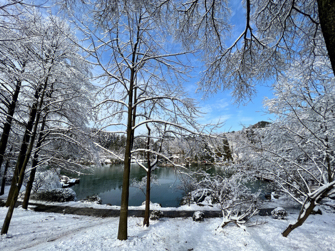 四明山看雪景的地方图片