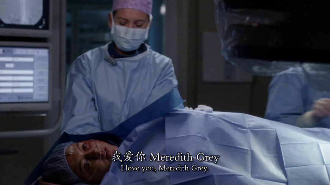 greys anatomy