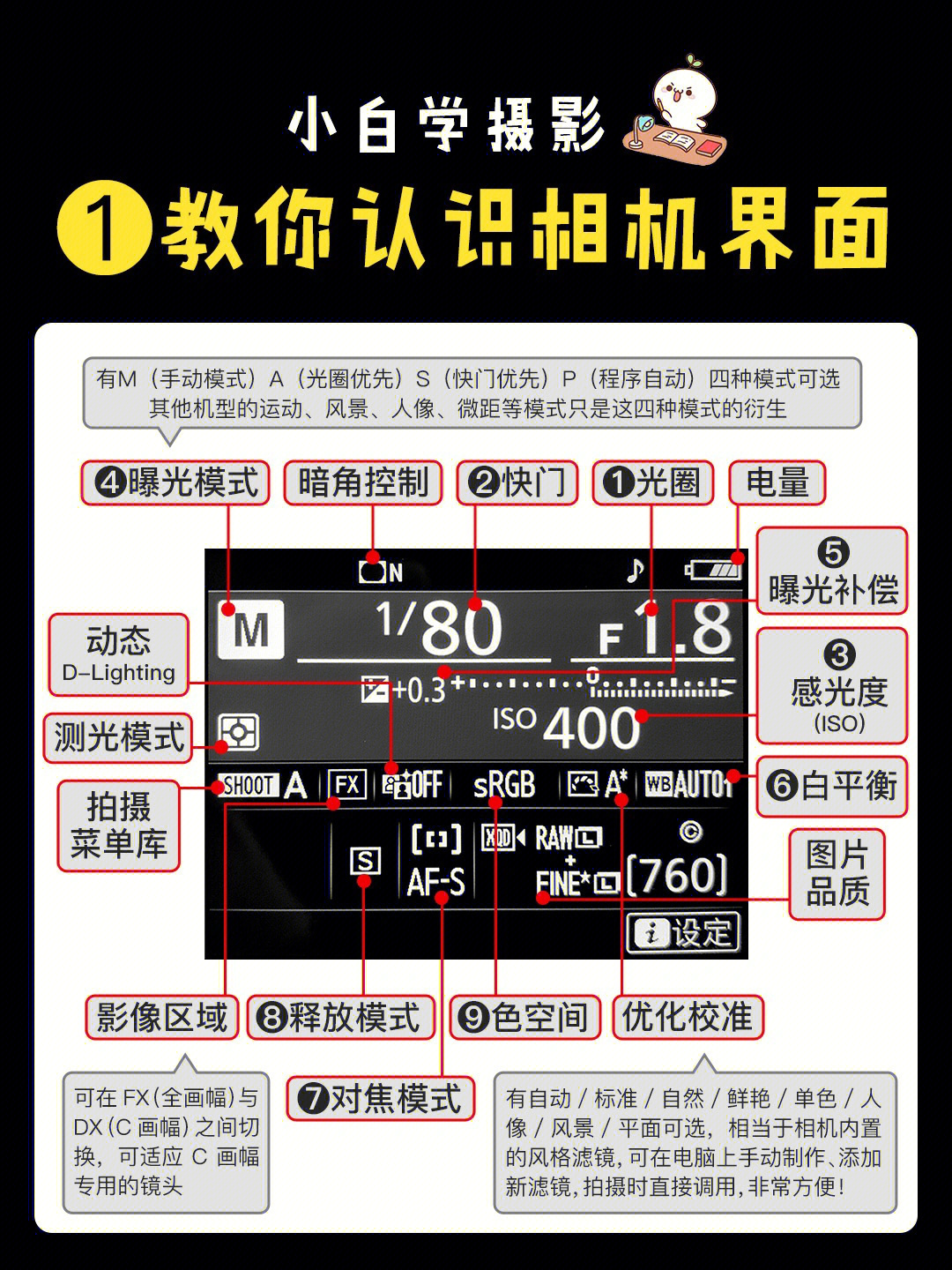 相机使用摄影入门图片