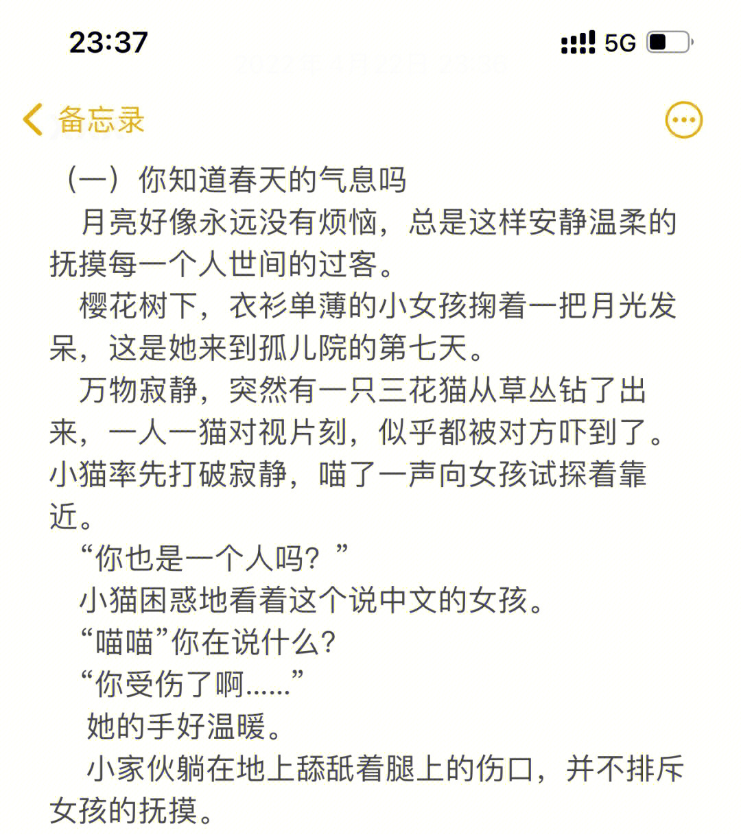 久别重逢林舟舟图片