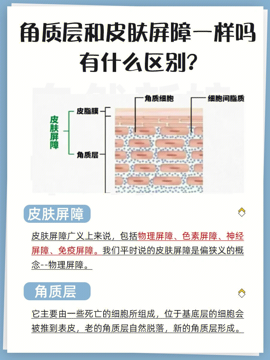 角质层和皮肤屏障有区别吗71区别大了7575