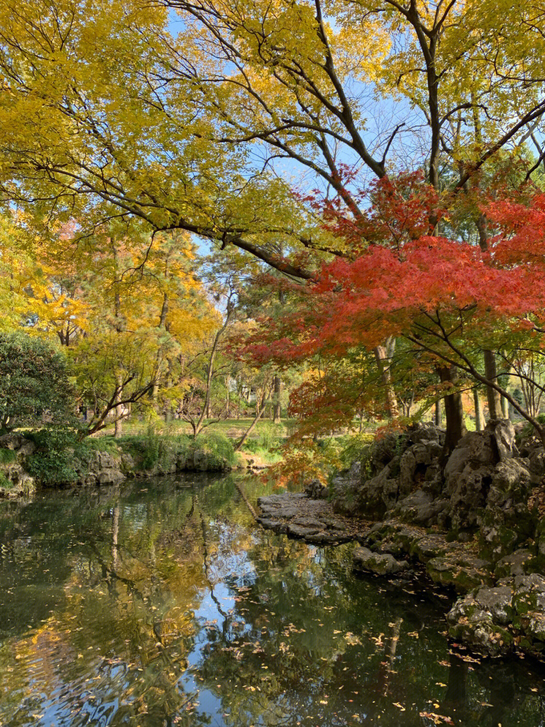 11月抓住苏州园林的秋