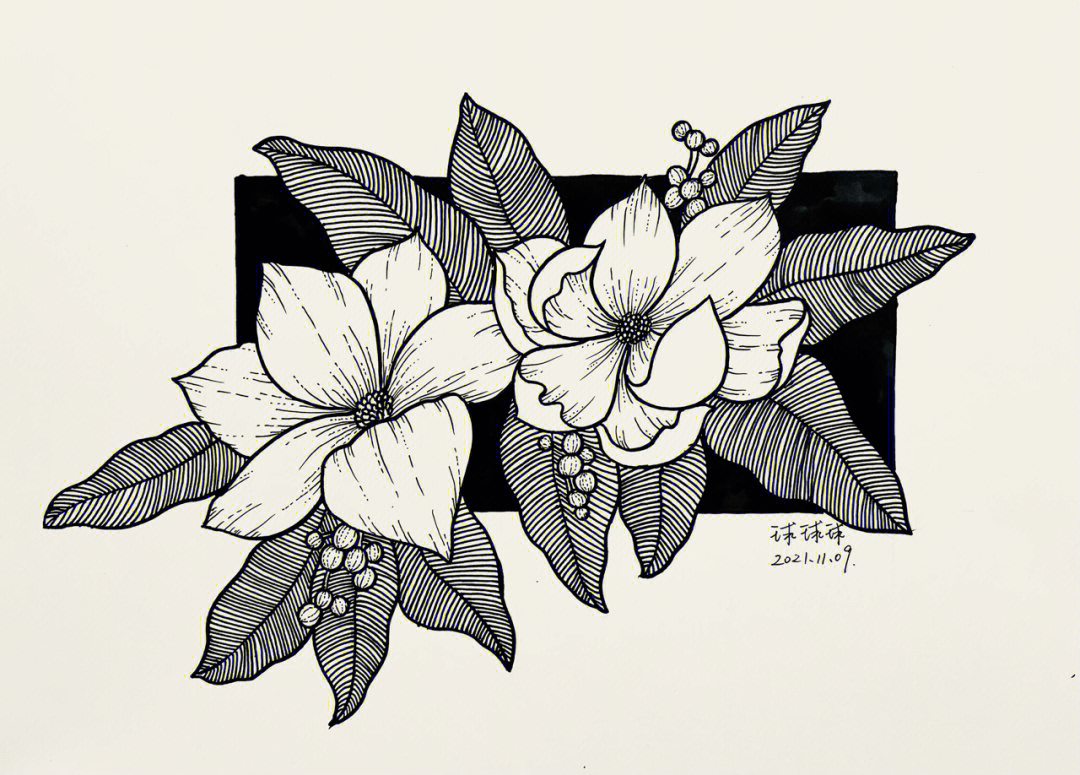 黑白装饰画花卉