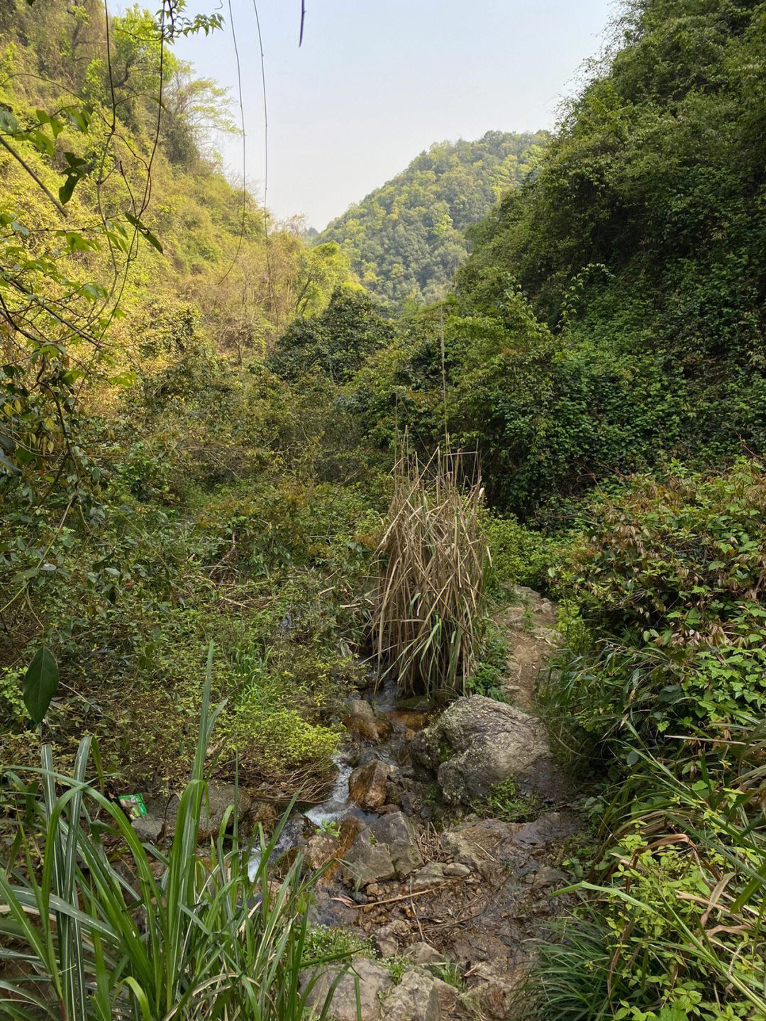 午潮山烧烤图片