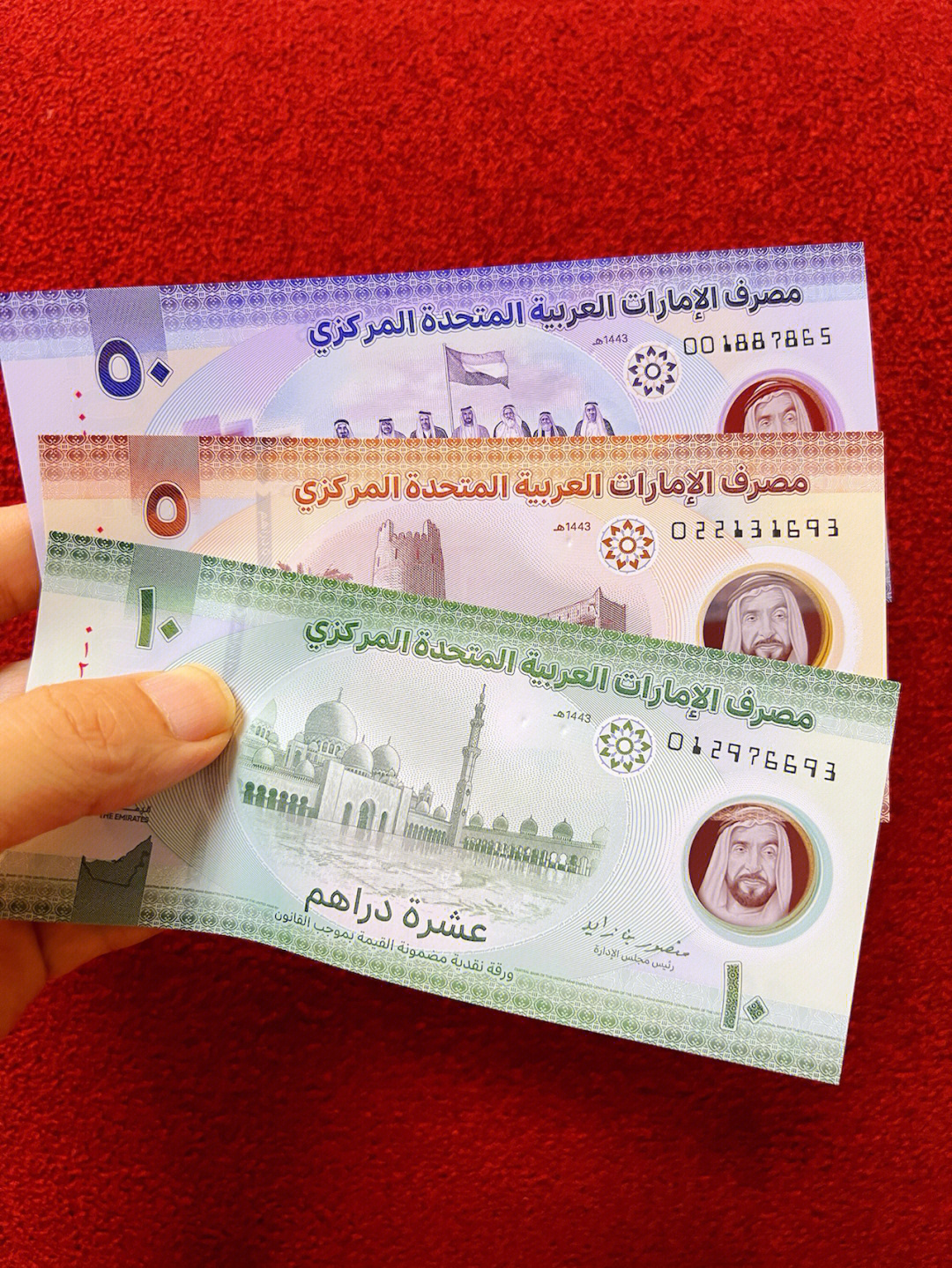 阿联酋新版迪拉姆塑料钞