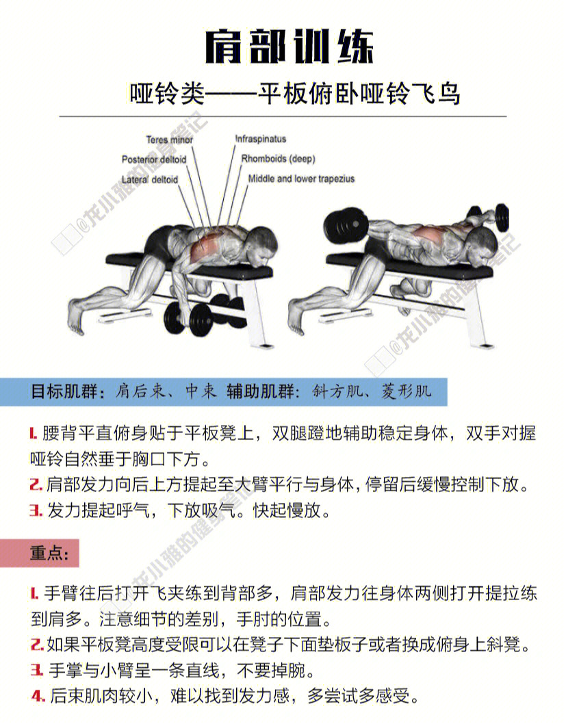 俯卧飞鸟动作示意图图片