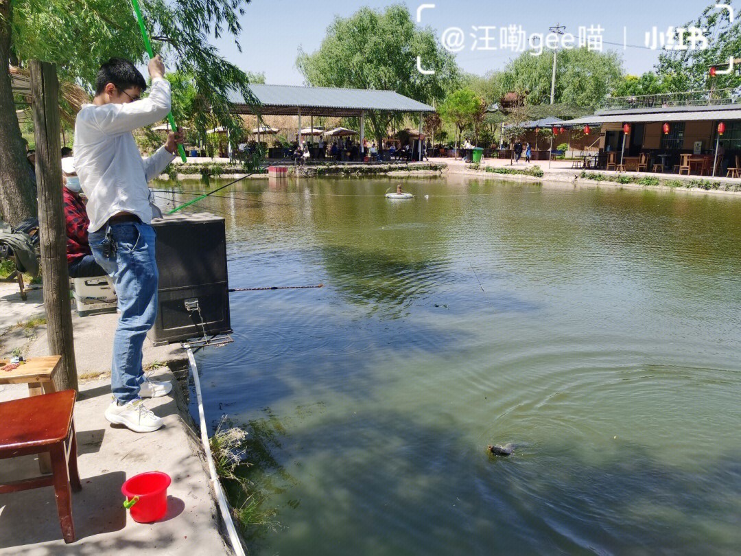 临潼新丰席家村村霸图片