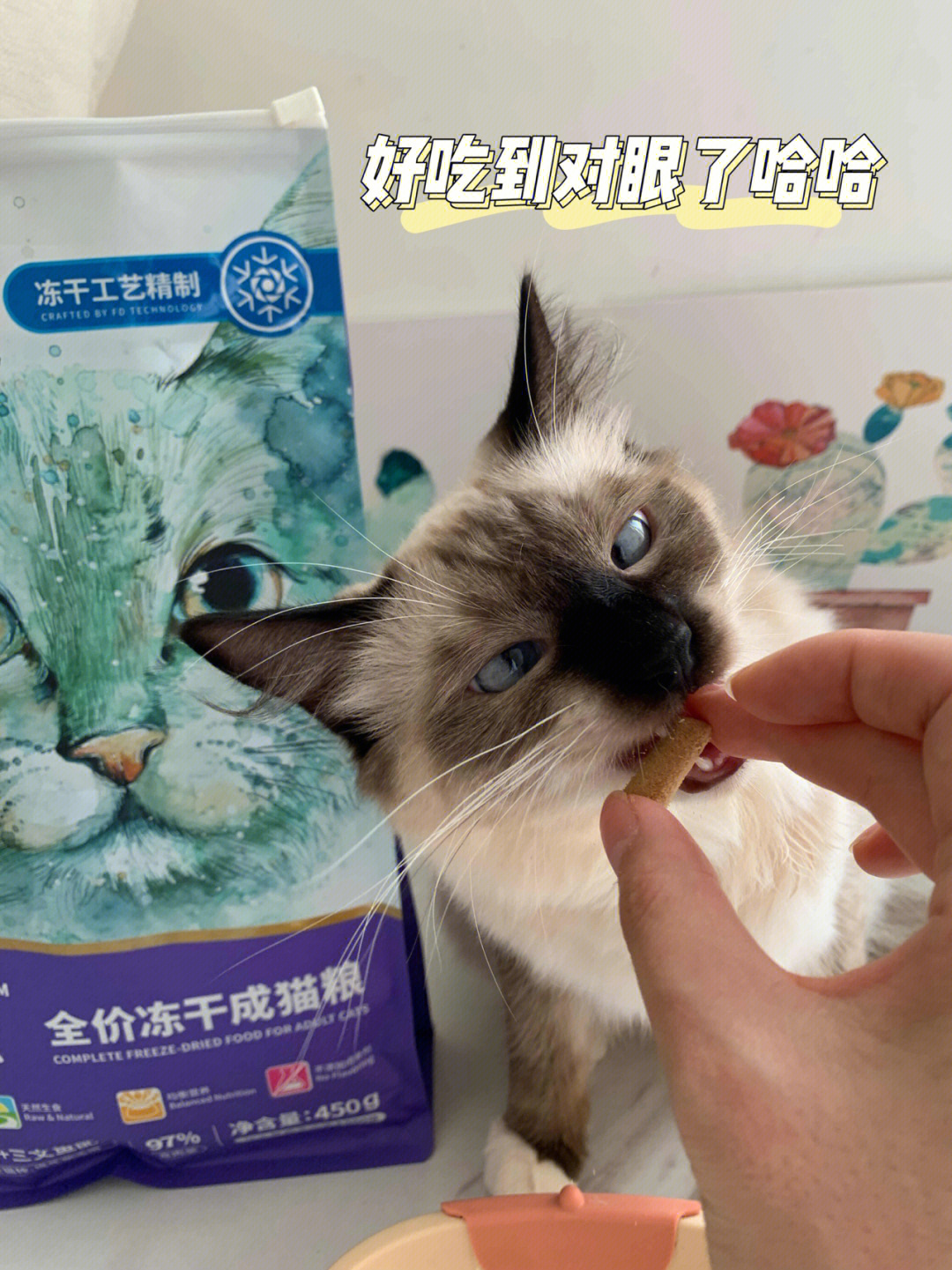 猫咪主食冻干分享每一口都敲满足