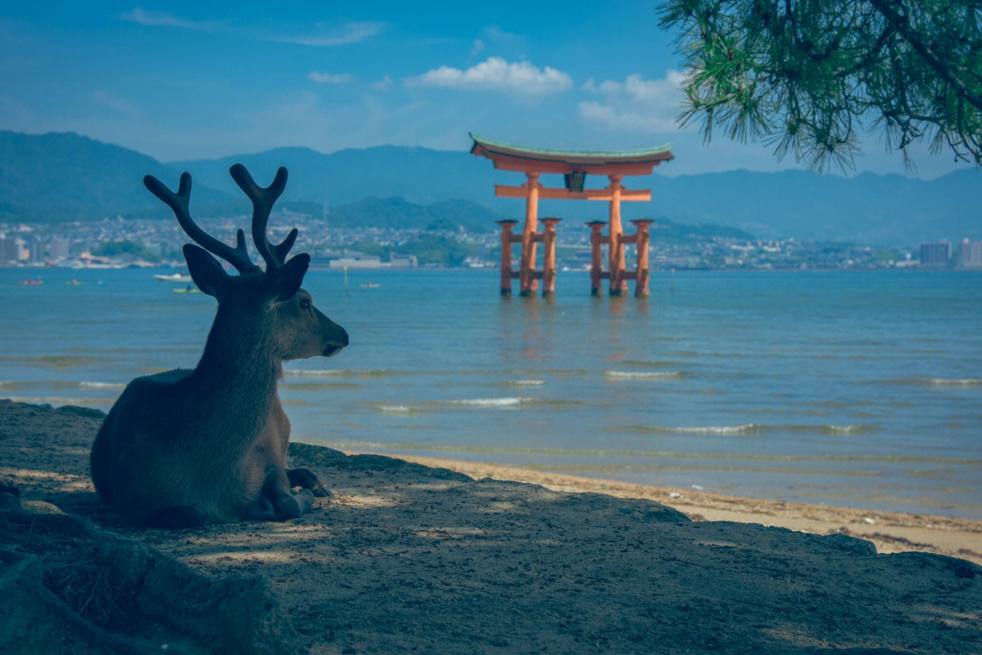 严岛神社75