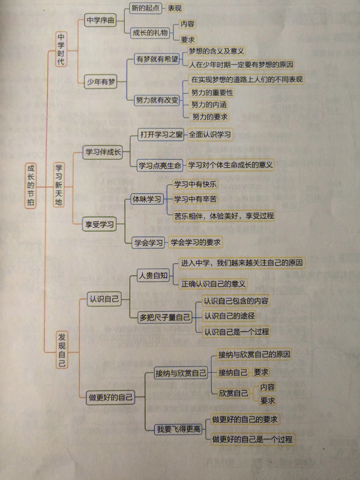 七上政治思维导图完整版