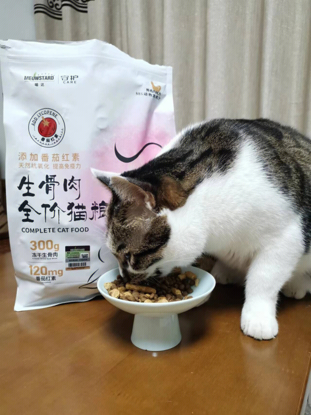 生骨肉猫粮