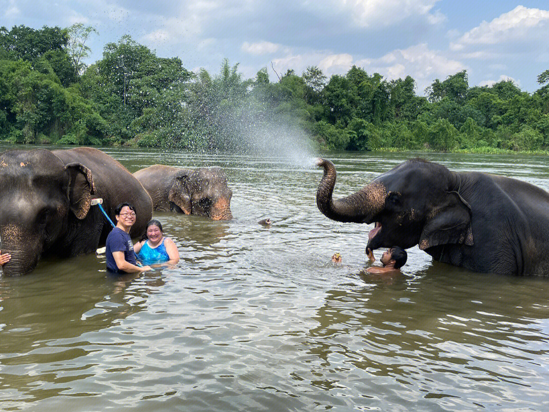 泰国北碧府kanchanaburi大象世界