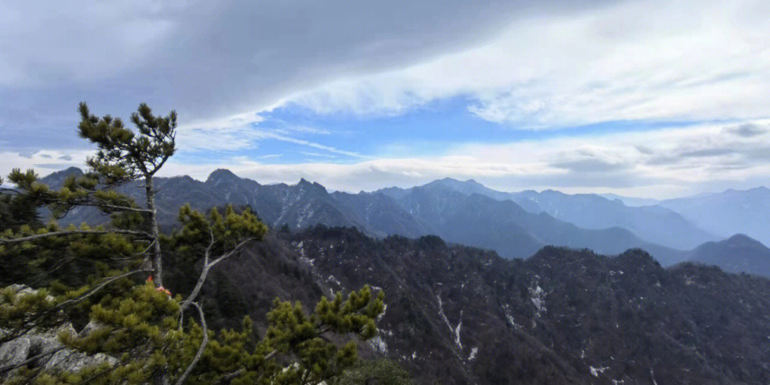 八正颗粒万花山图片