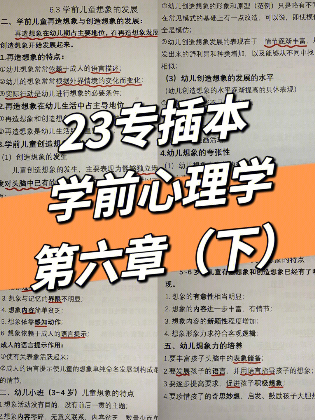 23专插本分享上岸公办心理学笔记75