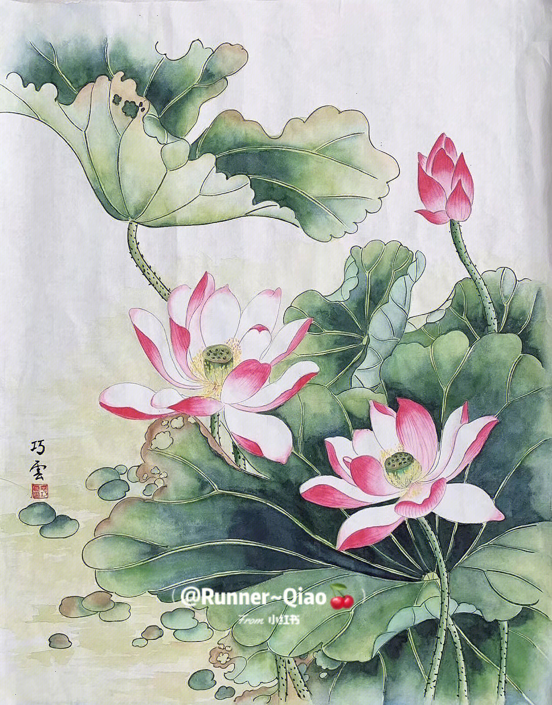 工笔荷花花蕊画法图片