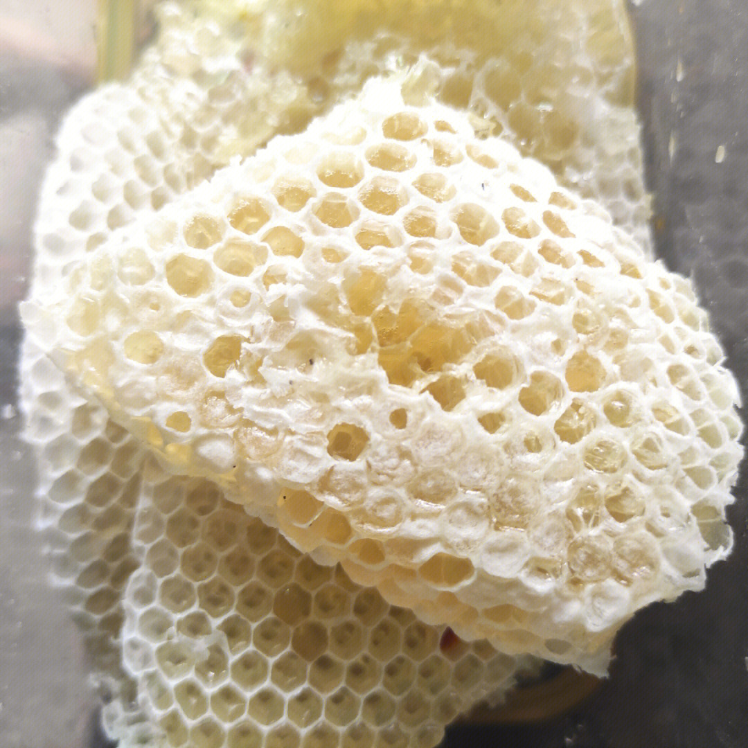 蜂巢内部结构剖面图图片