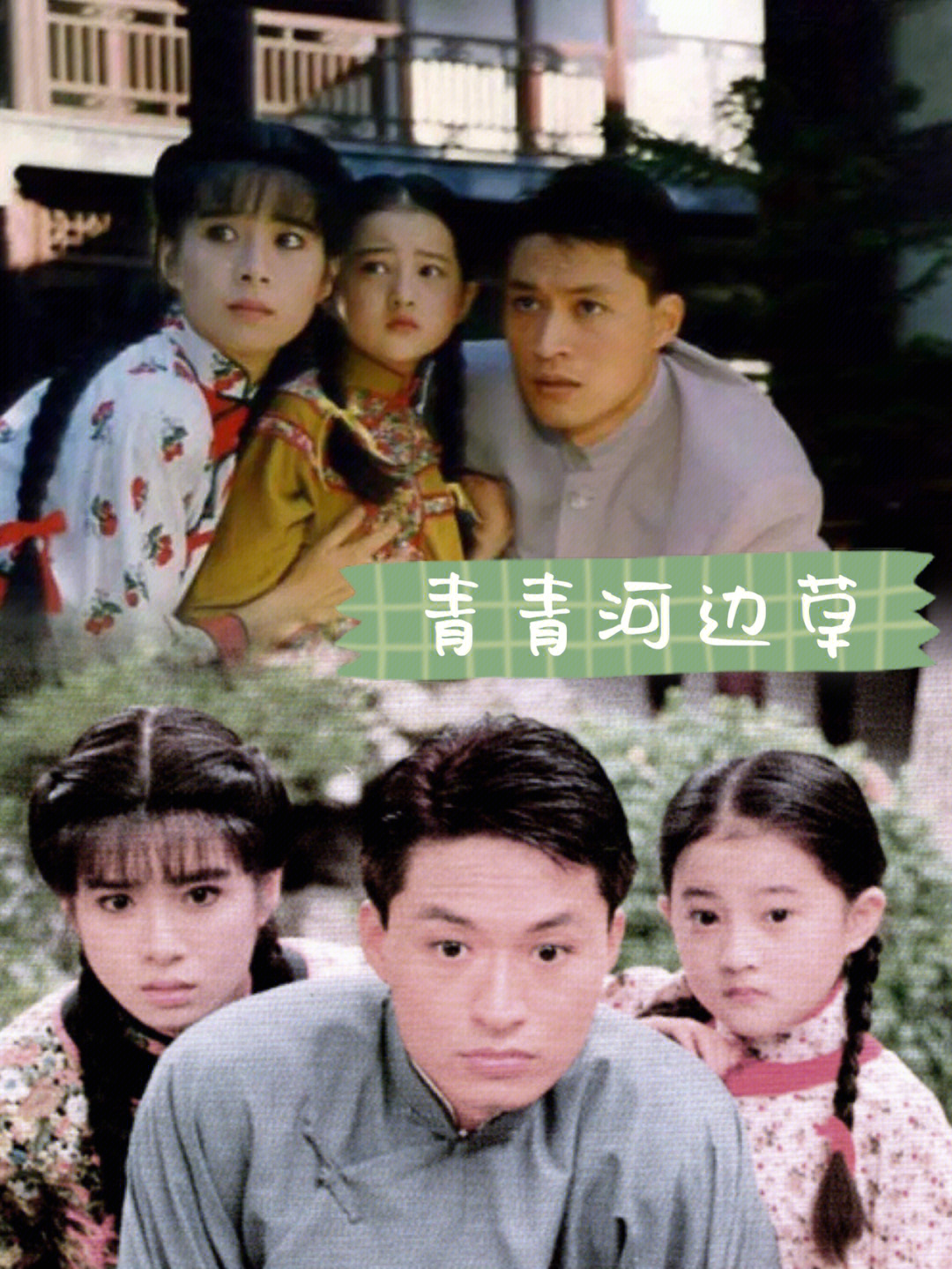 1992年小草电视剧图片