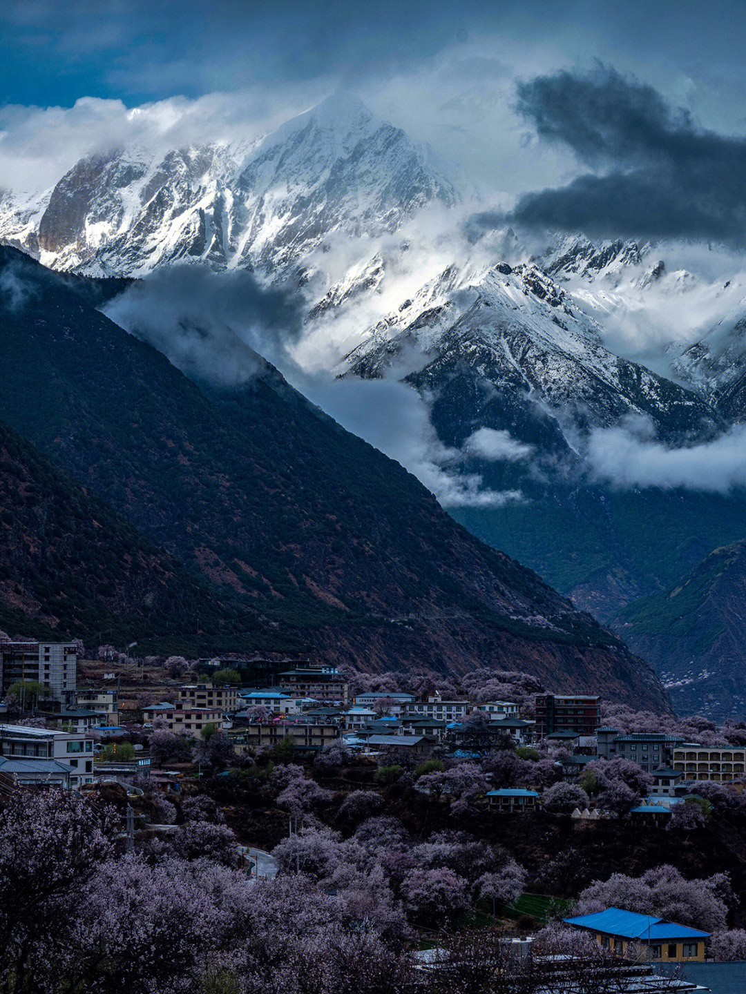 西藏林芝的雪山