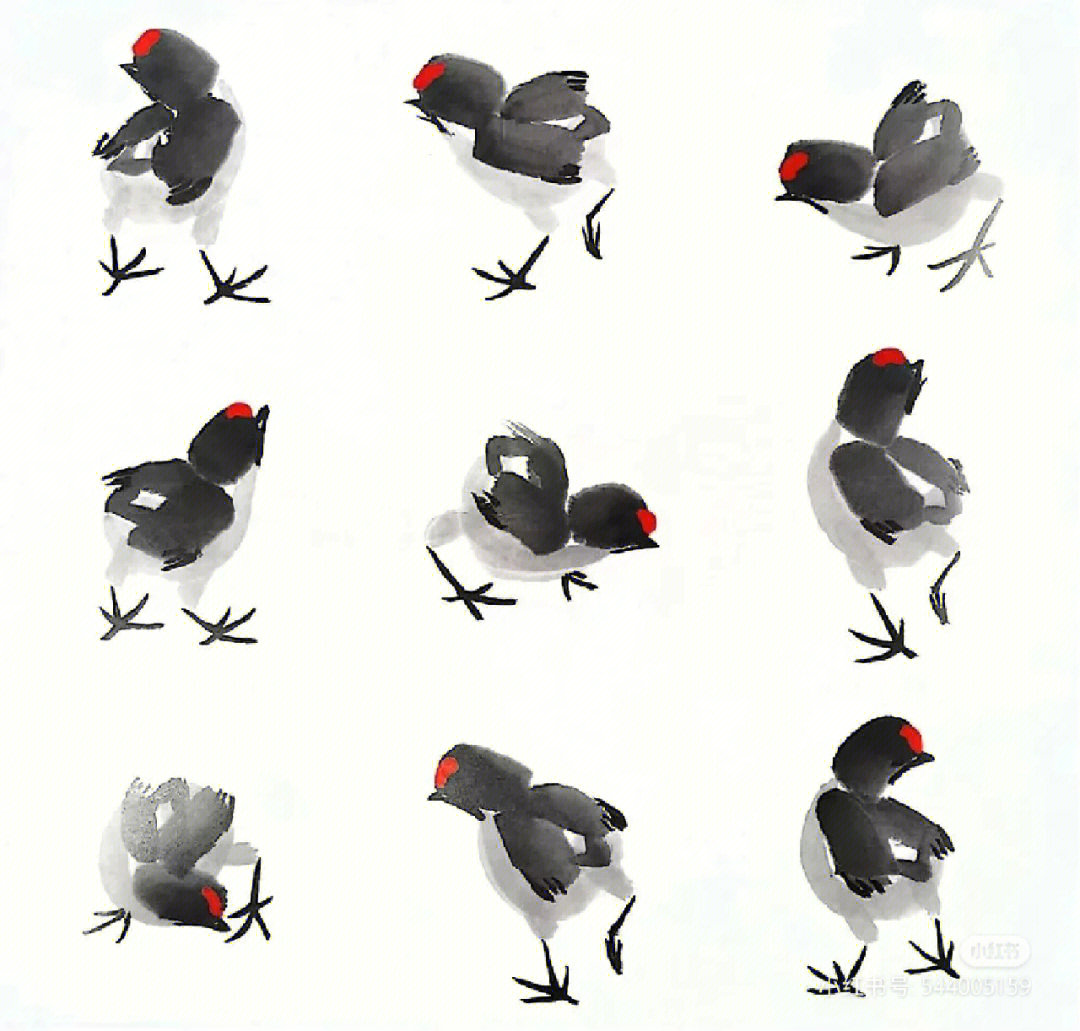 小鸡写意画的各种姿态图片