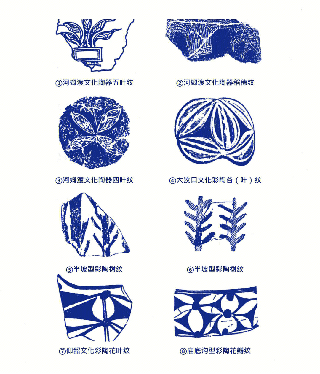 彩陶植物纹图片