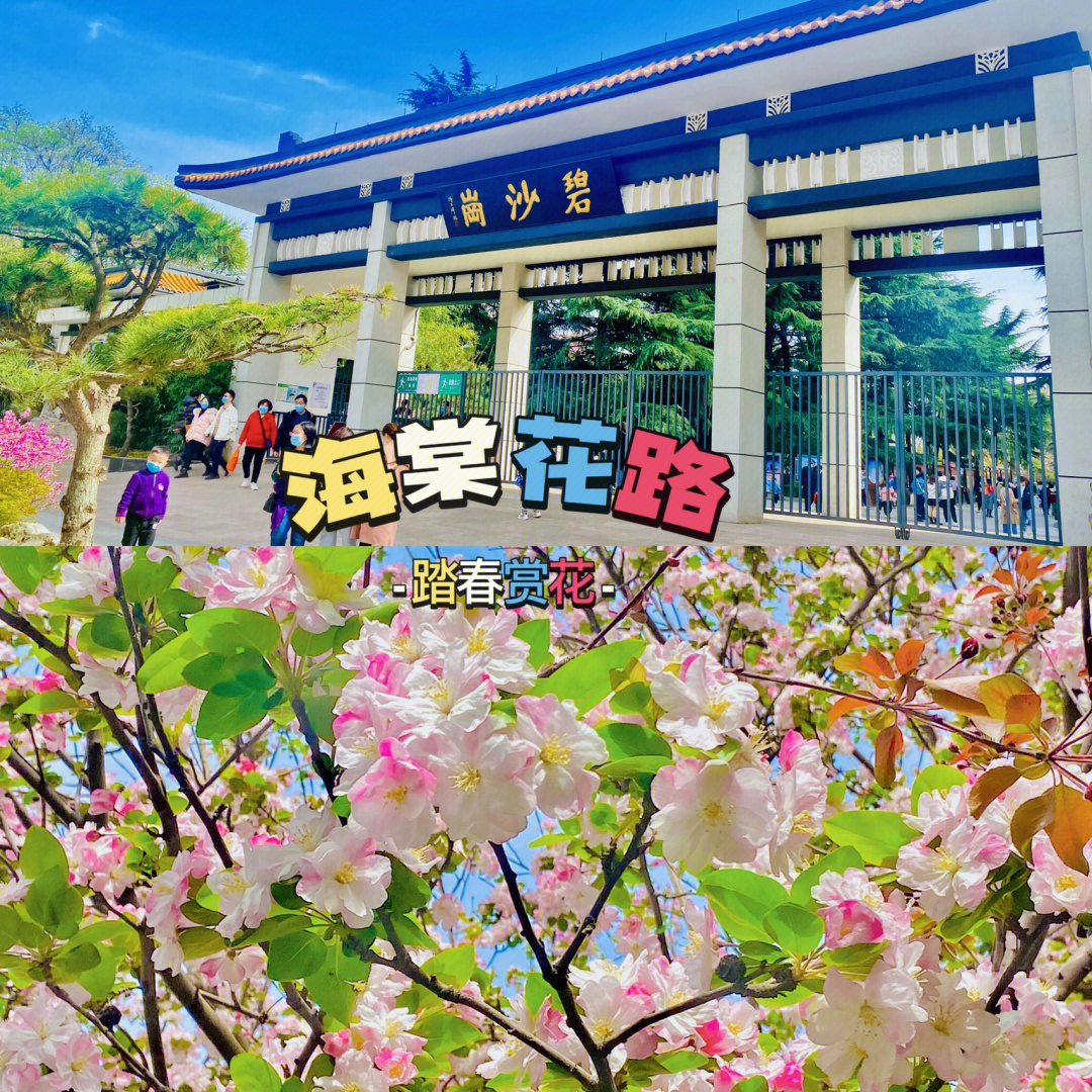 碧沙岗公园平面图图片