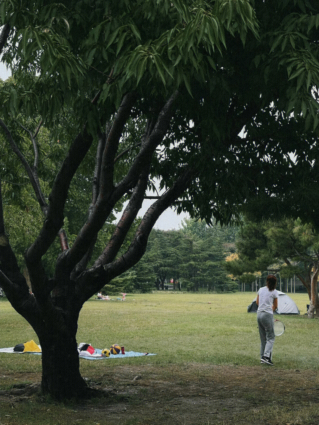 塘沽白宫酒楼旧址图片