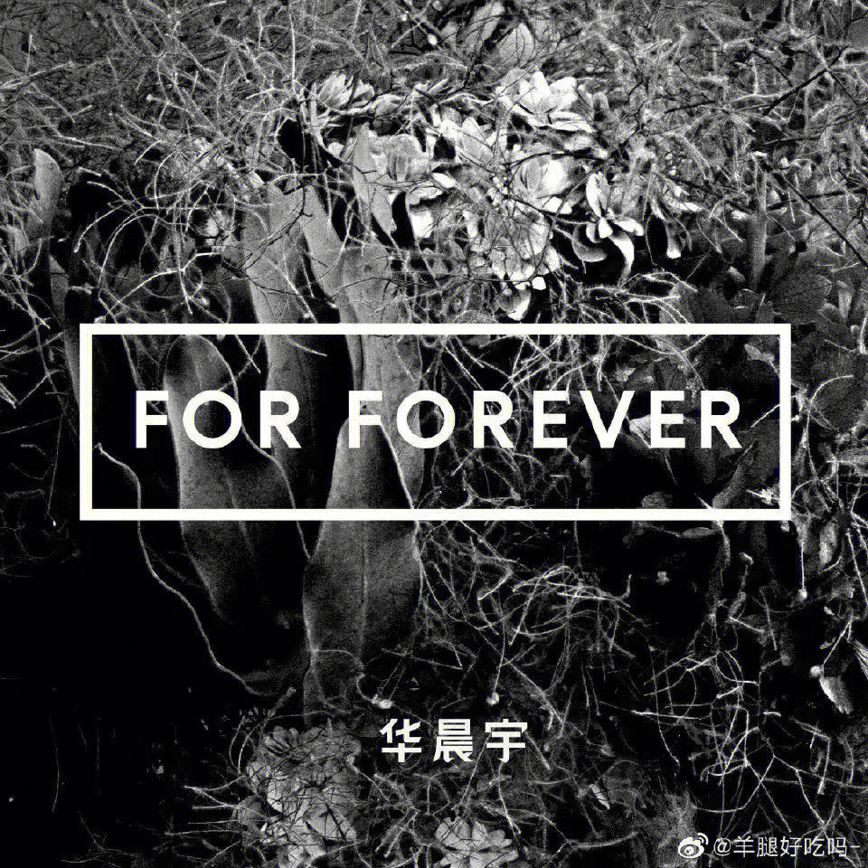 for forever钢琴谱图片