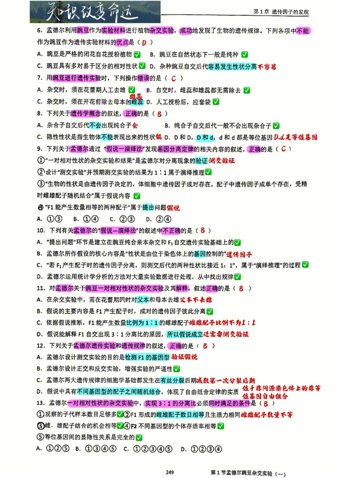 高中生物分离定律基础概念习题