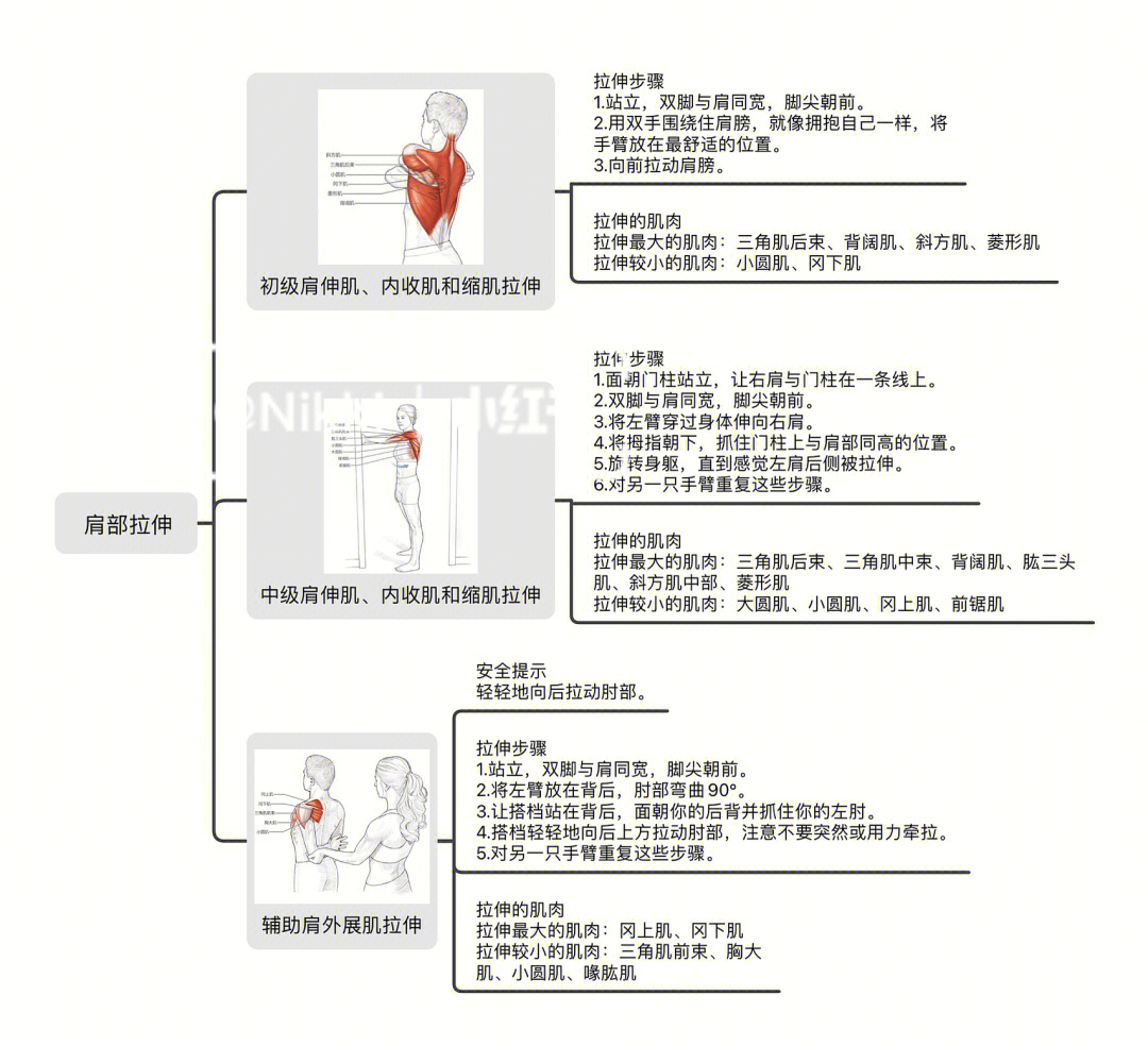 肱三头肌拉伸方法图解图片