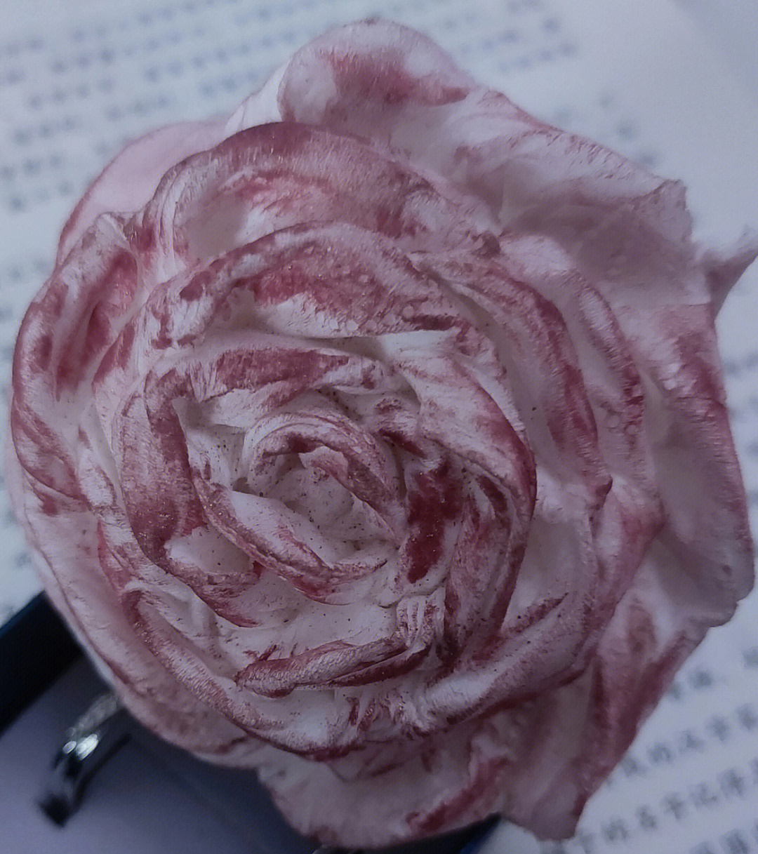 玫瑰永不凋零我的爱永远热烈