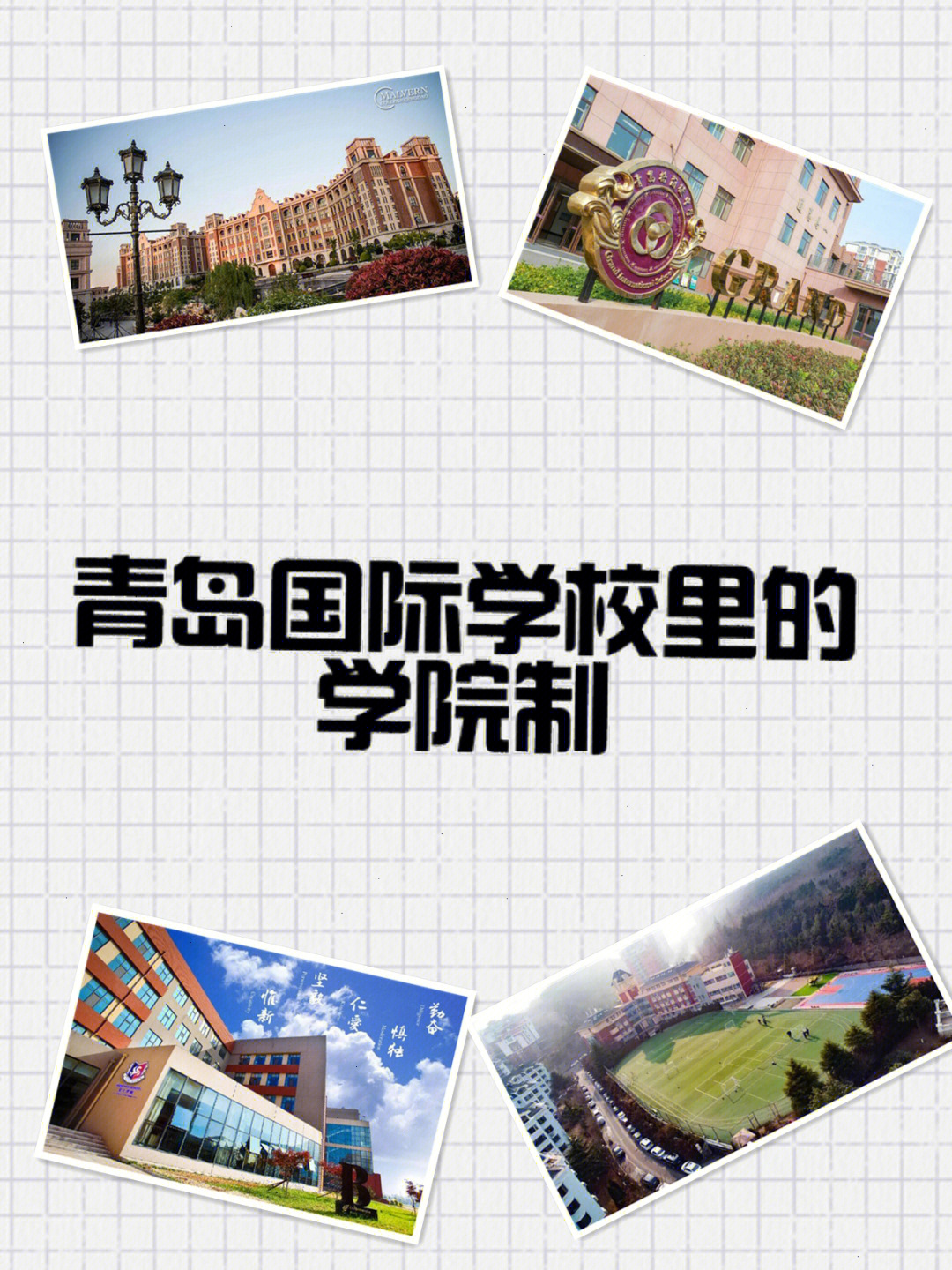 青岛也有国际学校实行了学院制:梅尔顿学校四大学院:house dragon