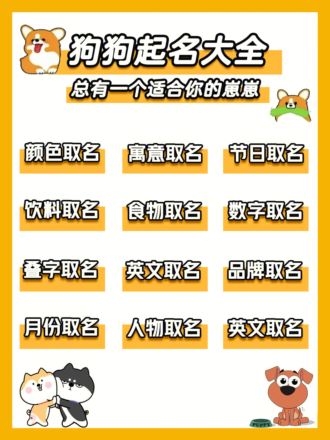 给狗狗取名字 独特图片