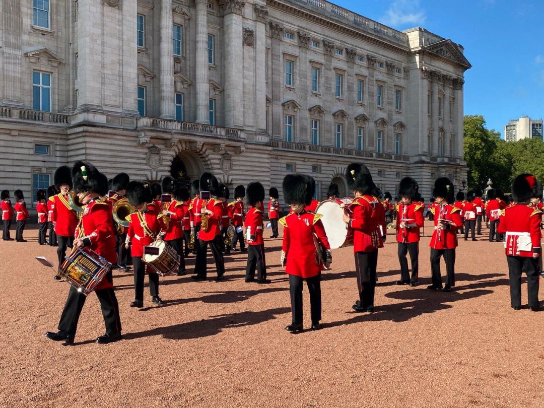 英国小卫兵图片