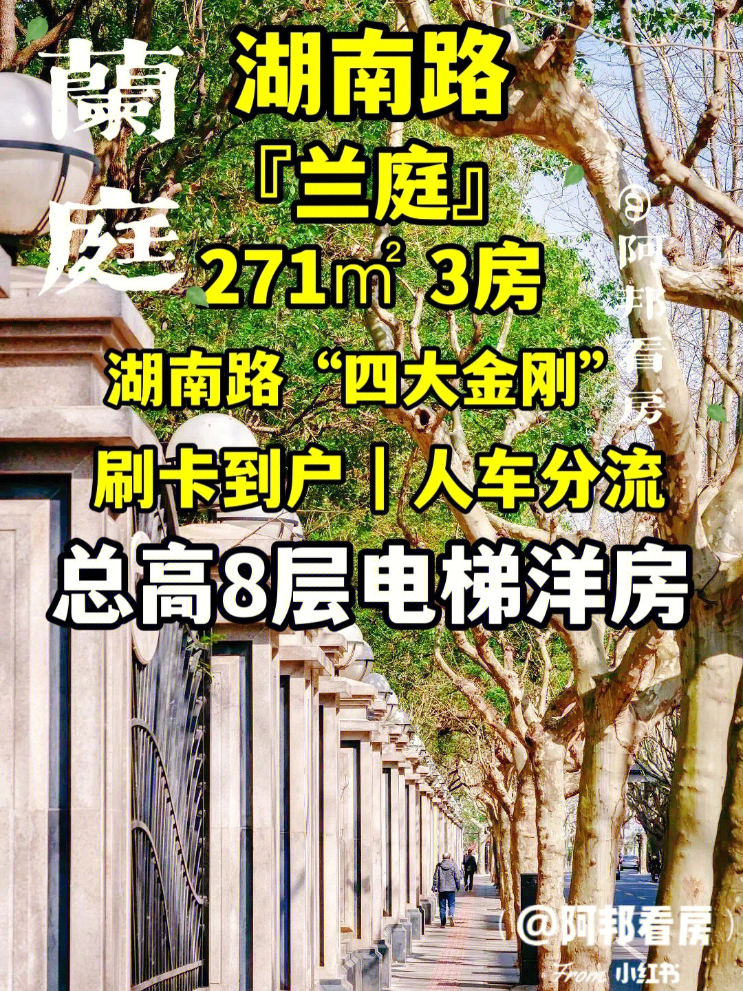 湖南路四大金刚小区图片