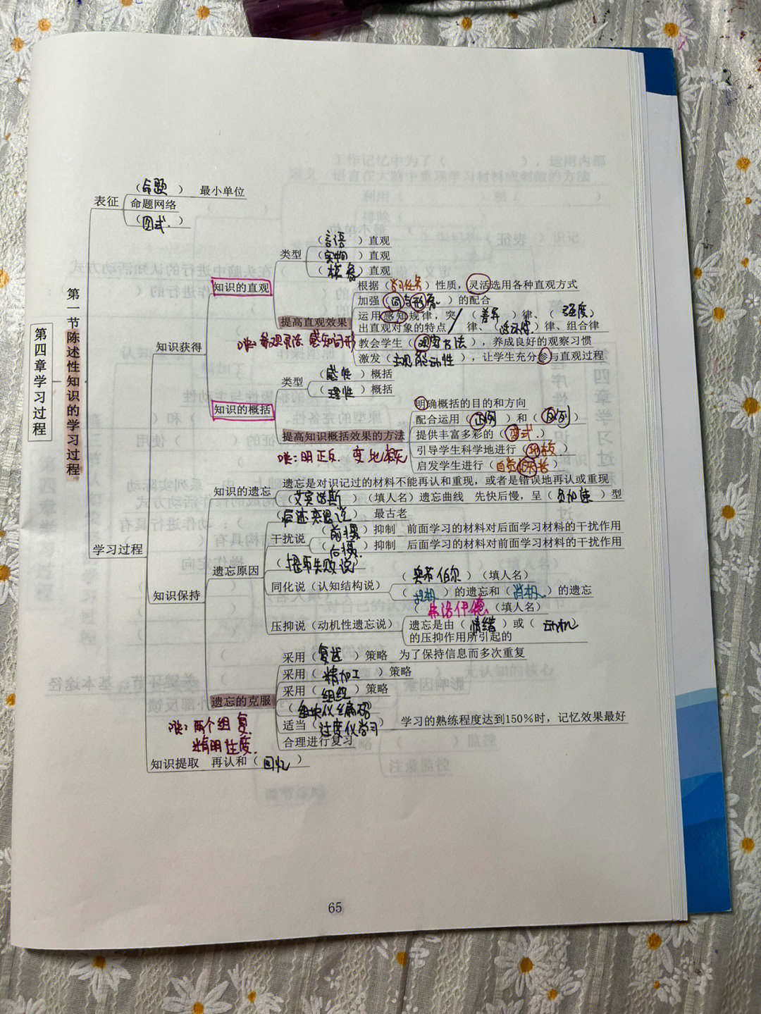 气质类型思维导图图片