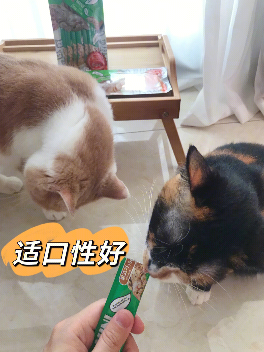 猫太郎猫条猫咪营养伴侣