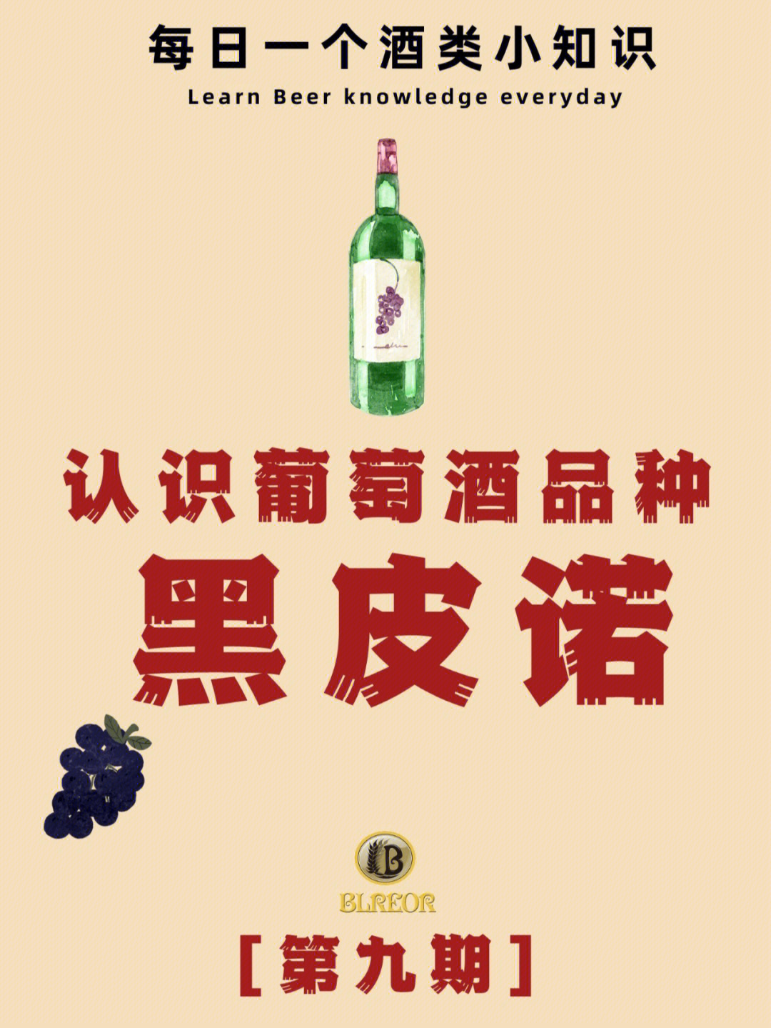 葡萄酒品种02黑皮诺