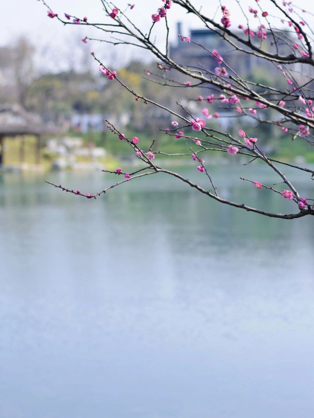 浣花溪